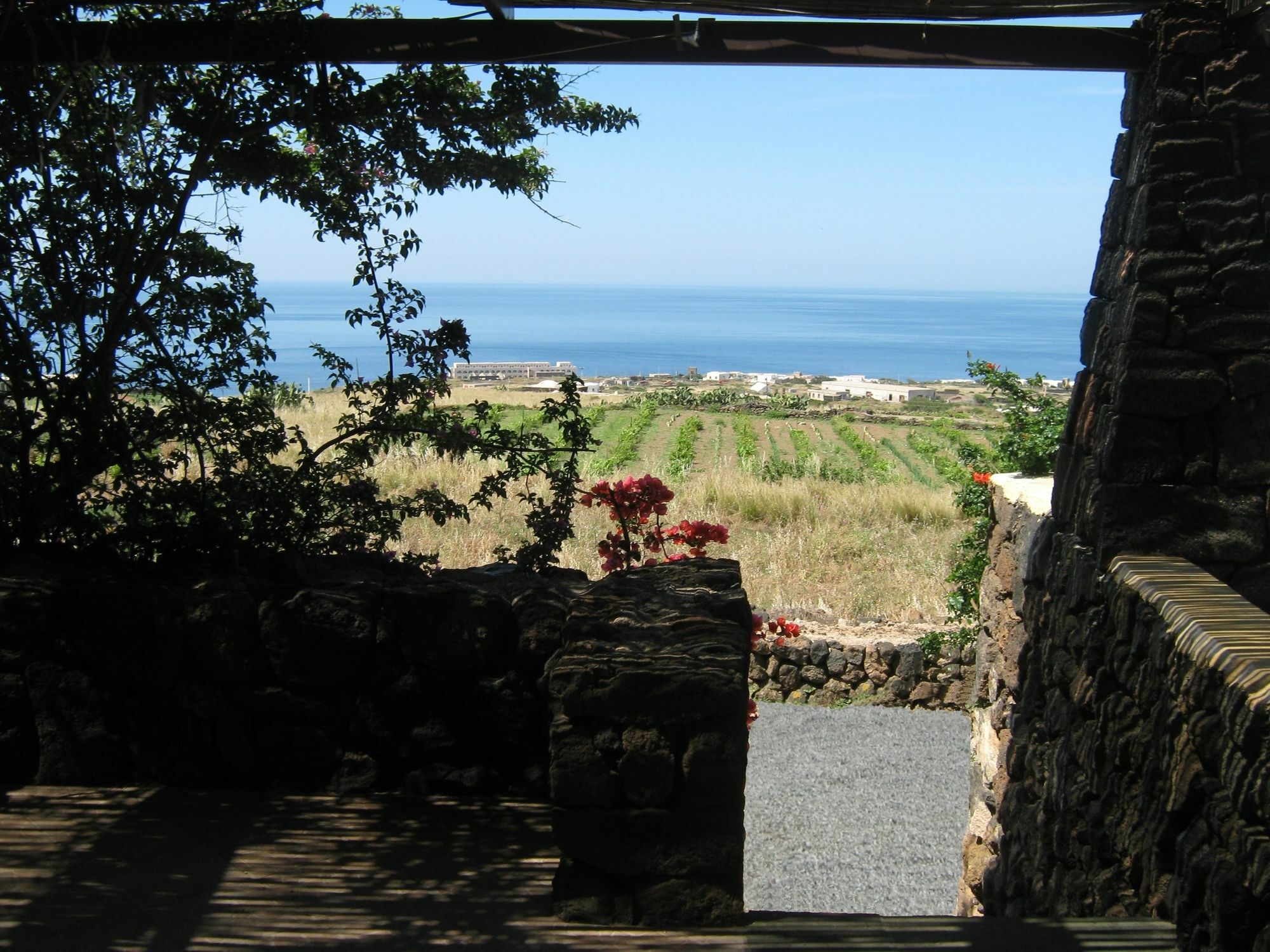 Agriturismo Zibibbodoro Villa Scauri  Exterior photo