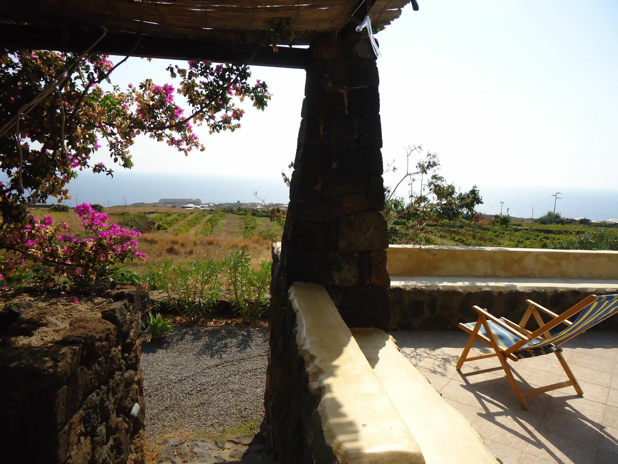 Agriturismo Zibibbodoro Villa Scauri  Exterior photo