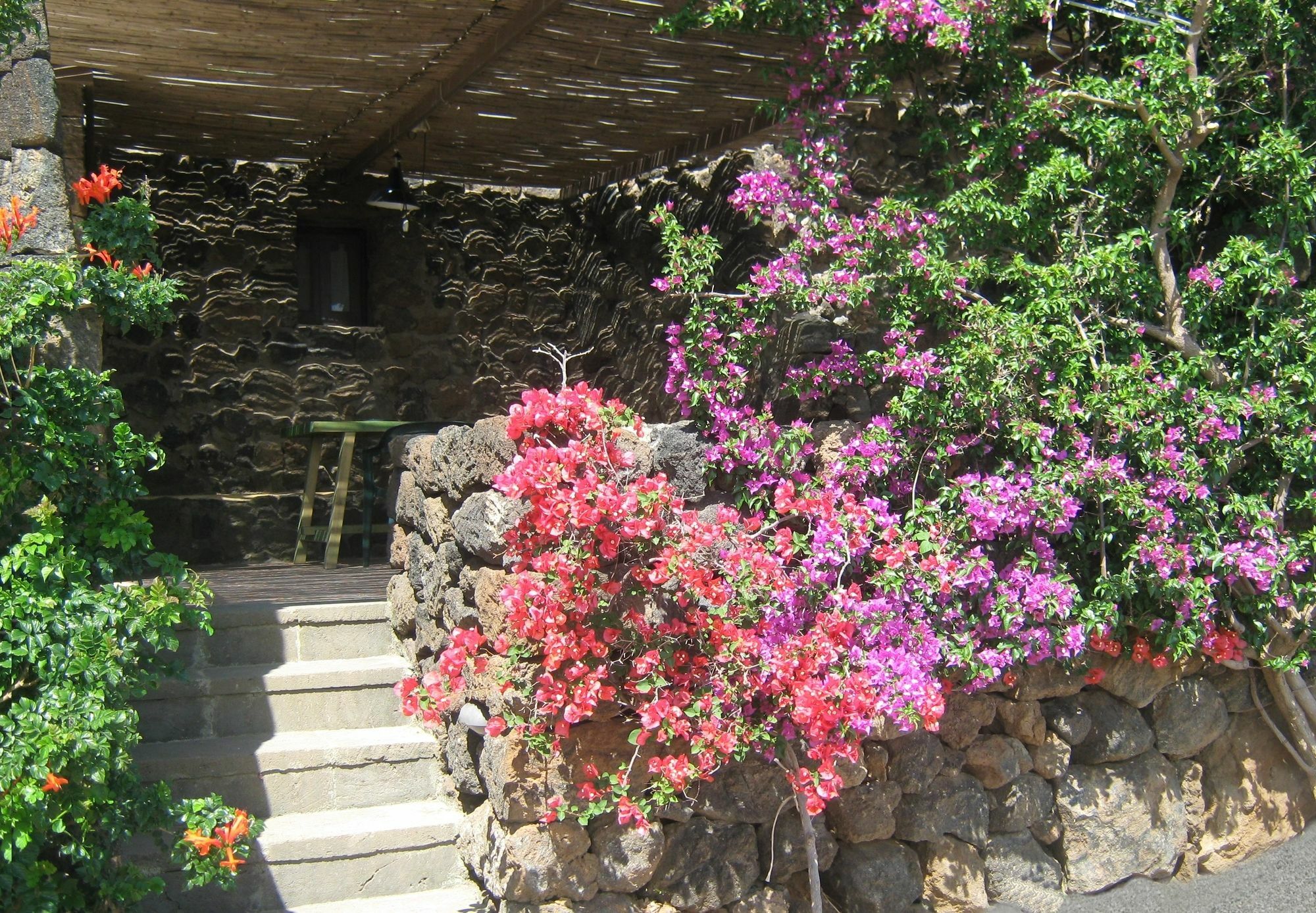 Agriturismo Zibibbodoro Scauri  Exterior photo