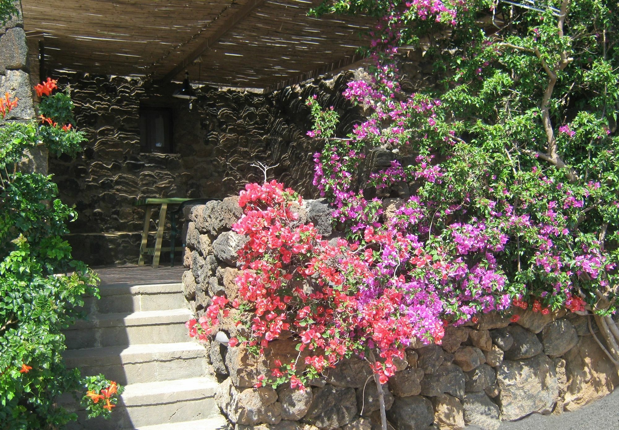 Agriturismo Zibibbodoro Villa Scauri  Exterior photo