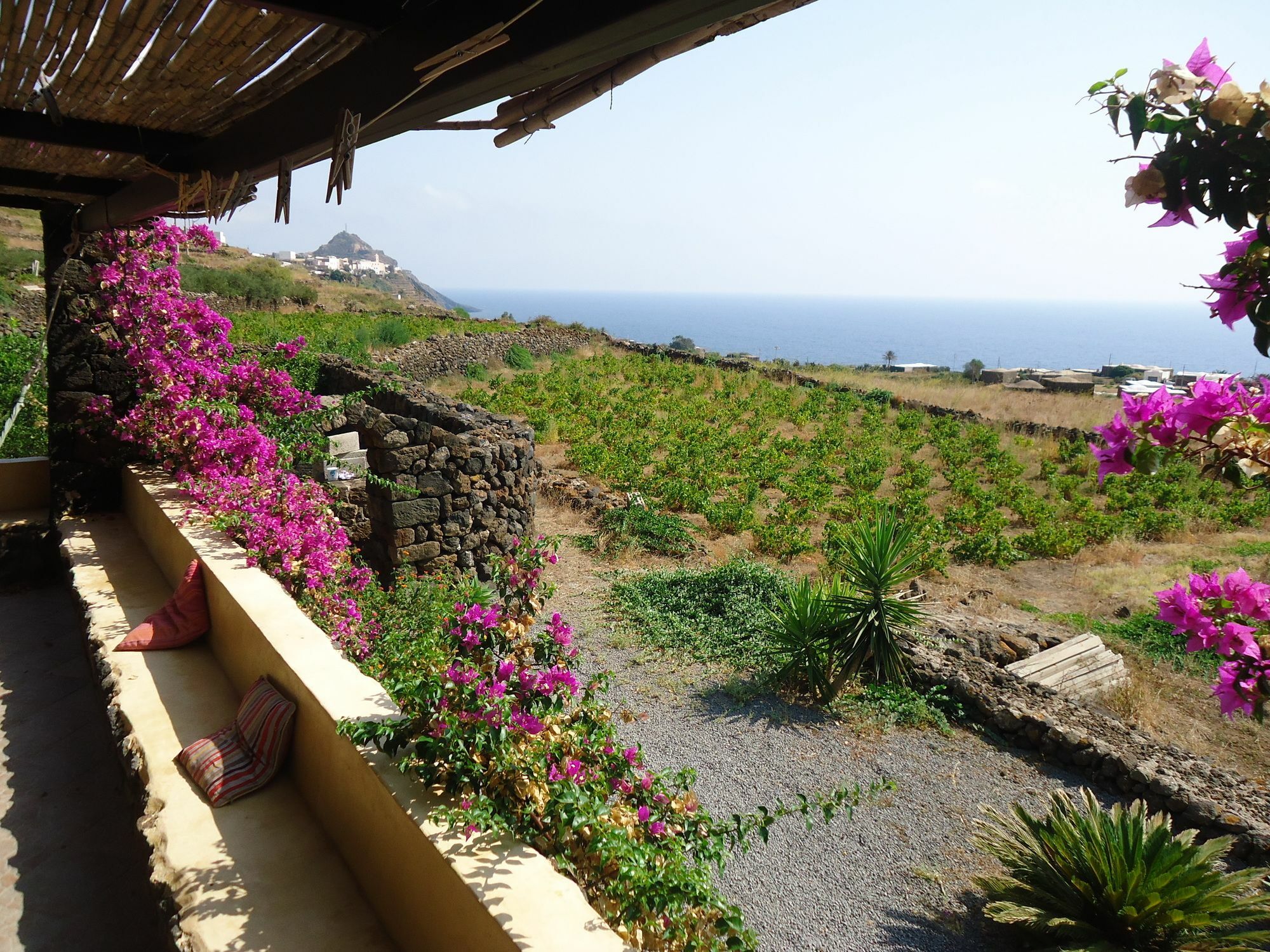 Agriturismo Zibibbodoro Villa Scauri  Exterior photo